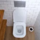 Come pulire sanitari vecchi - Idea Ceramica